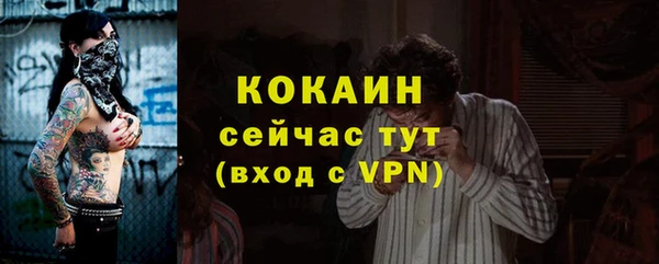 гашик Арсеньев