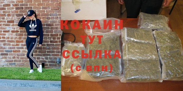 прущие грибы Балахна