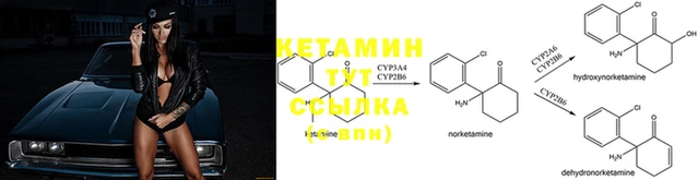 гашик Арсеньев