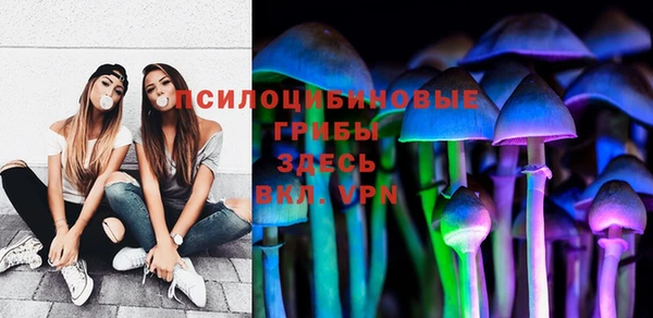 круглые Аркадак