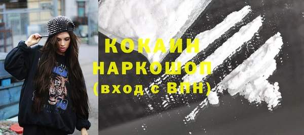 прущие грибы Балахна