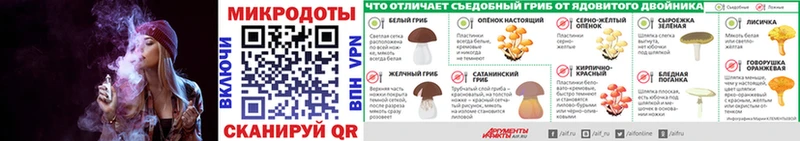 гидра ССЫЛКА Зверево Псилоцибиновые грибы Psilocybine cubensis